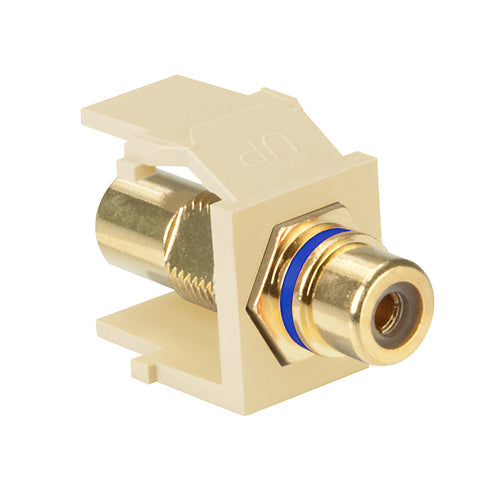 Leviton 40830-BIL, RCA Feedthrough Quickport Connector, Gold-Plated, Blue Stripe, Ivory Housing
