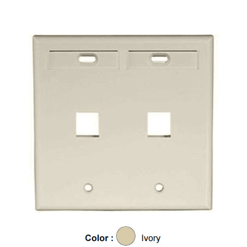 Leviton 42080-2IP, Quickport Dual-Gang Wallplate with ID Windows, 2-Port, Ivory