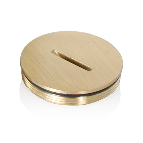 Leviton 5249-CAP, Replacement Screw Cap with O-Ring For Single Floor Box Receptacle Assembly, Brass with Clear Coating