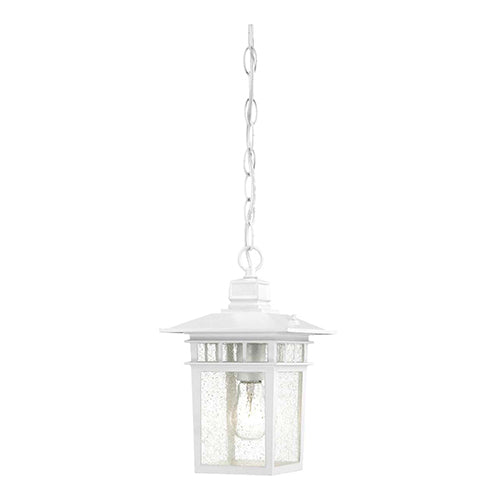 Satco 60-4954, Cove Neck, 1 Light, 12" Outdoor Hanging Lighting Fixture, 100W, 120V, Medium Base, Clear Seed Glass, White Finish