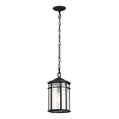 Satco 60-5759, Raiden, 1 Light, 14.5" Outdoor Hanging Lighting Fixture, 100W, 120V, Medium Base, Clear Seed Glass, Matte Black Finish