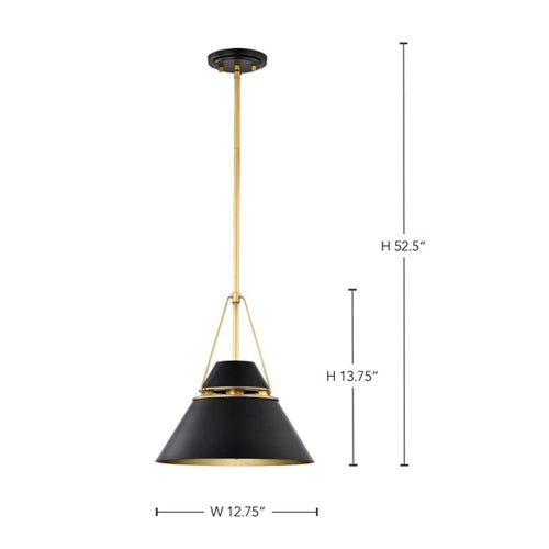Satco 60-7766, Adina 1-Light Medium Pendant Ceiling Light Fixture, 120V, 60W, Matte Black and Natural Brass Finish