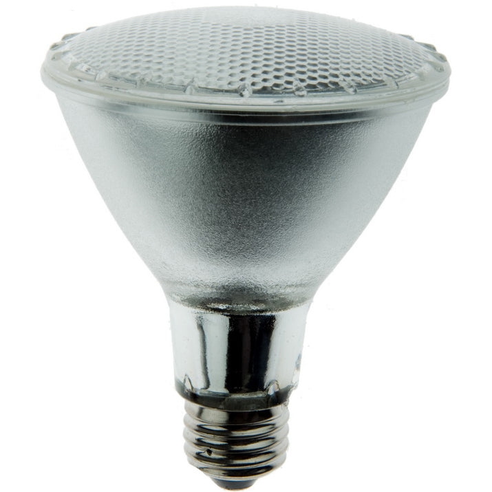 ROXI 3029, 50 Watt, 130 Volt, PAR30 (Long Neck), Flood