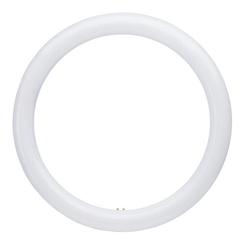 Satco S16511, T9 LED Circline, 16W, 120-277V, 3000/4000/6500K, 1850/2000/1950 Lumens, G10q Base, Frost Finish