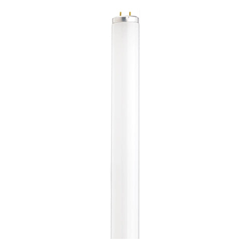Satco S26610, 4' T12 Fluorescent, 40W, 5000K Natural Light, 2200 Lumens, Medium Bi Pin Base, White Finish