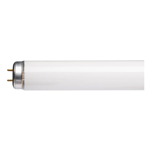 Satco S26571, 3' T12 Fluorescent, 30W, 4100K Cool White, 1900 Lumens, Medium Bi Pin Base, White Finish