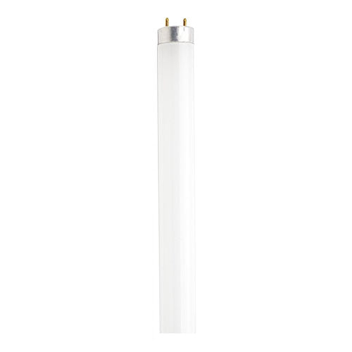 Satco S2920-TF, 4' T8 Fluorescent, 32W, 5000K Natural Light, 2950 Lumens, Medium Bi Pin Base, Shatter Proof, Frost Finish