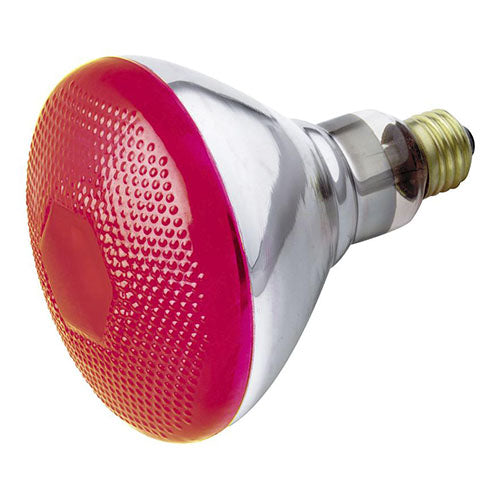 Satco S4424, BR38 Incandescent, 100W, 120V, Medium E26 Base, Red Finish, 6 Packs