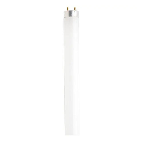 Satco S6580, 3' T12 Shatter Proof Fluorescent, 30W, 4200K Cool White, 2200 Lumens, Medium Bi Pin Base, Frost Finish