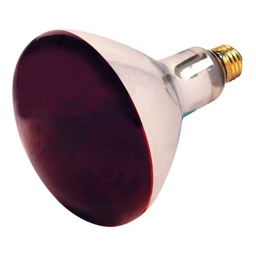 Satco S4998, R40 Incandescent, 250W, 120V, Medium E26 Base, Red Heat Finish