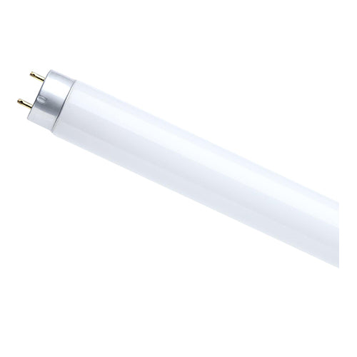 Satco S6678, 6' T8 Fluorescent, 70W, 4000K Cool White, 5500 Lumens, Medium Bi Pin Base, White Finish