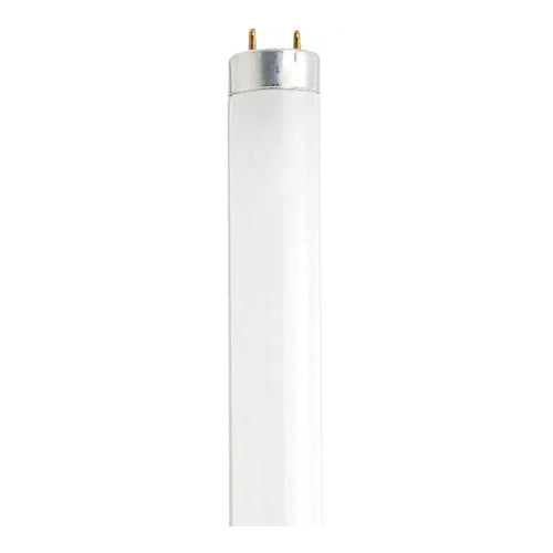 Satco S7920, 1' T8 Fluorescent, 13W, 4100K Cool White, 400 Lumens, Miniature Bi Pin Base, Frost Finish