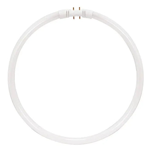 Satco S8163, T5 Circline Fluorescent, 55W, 4100K Cool White, 4200 Lumens, 2GX13 (4-Pin) Base, White Finish