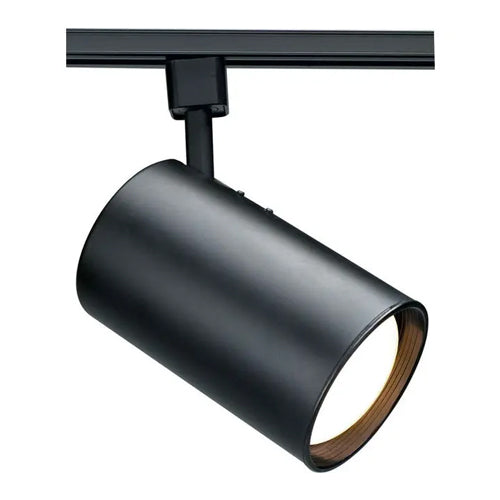 Satco TH203, 1-Light R30 Straight Cylinder Track Head, 75W, 120V, Medium Base, Black Finish