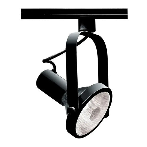 Satco TH225, 1-Light PAR38 Gimbal Ring Track Head, 150W, 120V, Medium Base, Black Finish